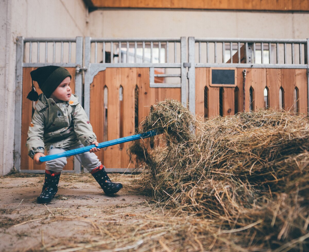 Bub hilft im Stall | © Urlaub am Bauernhof / Daniel Gollner