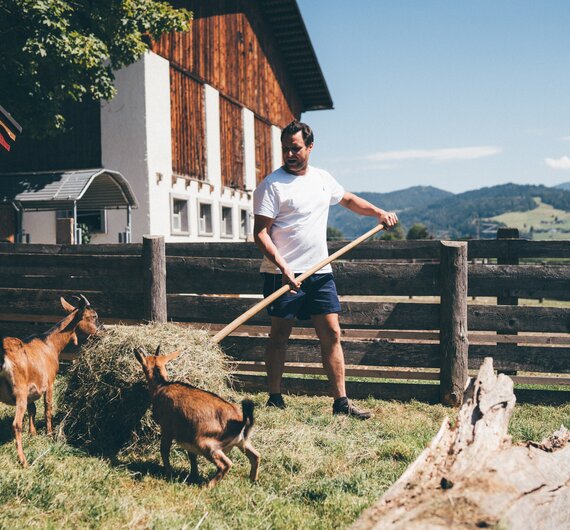 Mann fuettert Ziegen mit Heu | © Urlaub am Bauernhof / Daniel Gollner