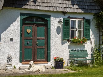 ein weißer Hund liegt vor einer alten Eingangstür | © Urlaub am Bauernhof Österreich / Bernd Suppan