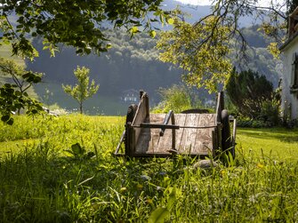 alter Milchwagen in der Wiese am Hof | © Urlaub am Bauernhof Österreich / Bernd Suppan