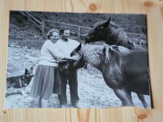 Altes Foto mit Pferden in schwarz-weiß vom Bauernhof Morgenbesser | © Daniel Gollner / Urlaub am Bauernhof