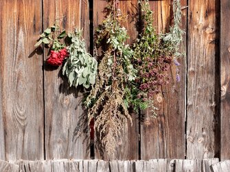 getrocknete Blumen hängen an der Wand einer Holzhütte | © Urlaub am Bauernhof