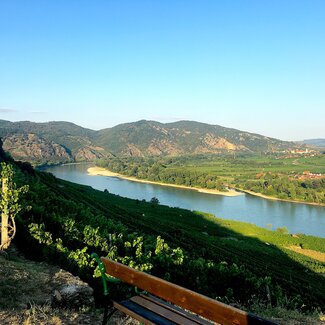 Die Donau in Weißenkirchen | © Urlaub am Bauernhof / Antje Zimmermann