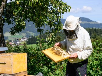 Ein Imker betrachtet eine Wabe | © Urlaub am Bauernhof 