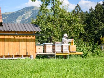 Imker vor einer Bergkulisse im Sommer | © Urlaub am Bauernhof 