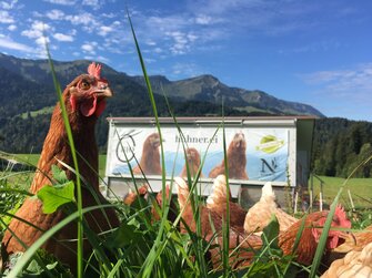 Hühner.Ei am Dornerhof in Vorarlberg | © Urlaub am Bauernhof / Dornerhof