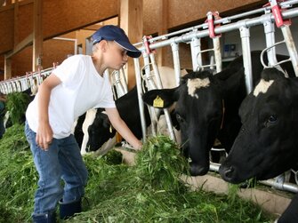 2 Buben helfen im Stall beim Kühe füttern | © Urlaub am Bauernhof Österreich / Eller