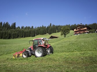 Bauer mit Traktor bei der Feldarbeit  | © Urlaub am Bauernhof / Lisa Hörterer