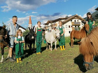 Ponys werden von der Weide geholt | © Claudia Tschurtschenthaler