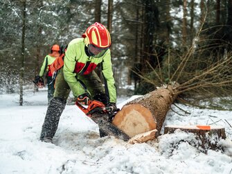 Bauer schneidet mit Motorsäge einen Baum im Wald  | © Urlaub am Bauernhof / Daniel Gollner