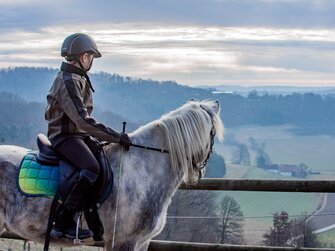 Bub sitzt auf Pferd und blickt ins Land | © Urlaub am Bauernhof Österreich / Ludwig