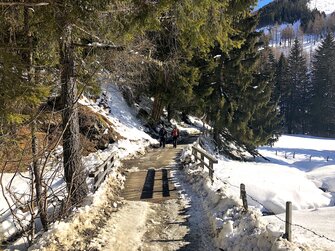 Winterwandern in Bad Kleinkirchheim  | © Urlaub am Bauernhof / Antje Zimmermann