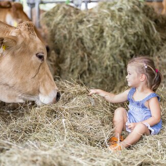 Mädchen sitzt vor Kuh im Heu | © Urlaub am Bauernhof Oberösterreich / Andreas Hofer