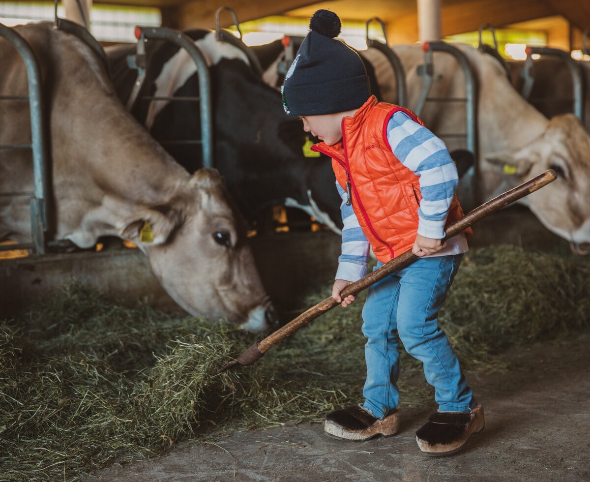 Bub füttert die Kühe im Stall mit Heu | © Urlaub am Bauernhof in Österreich / Pascal Baronit