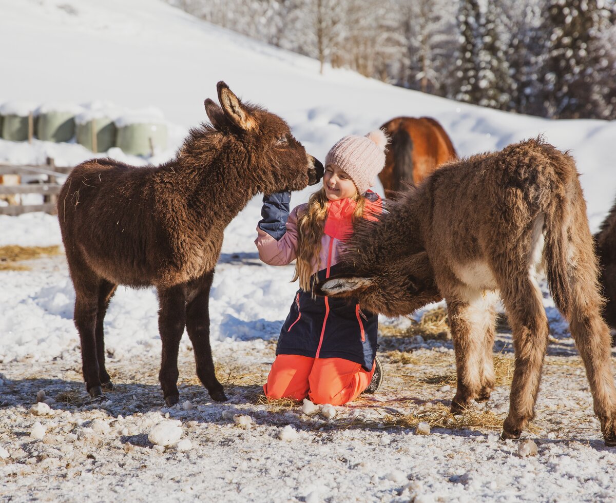 Mädchen sitzt im Schnee und streichelt zwei Esel | © Urlaub am Bauernhof / Pascal Baronit