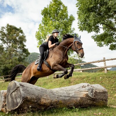 Mädchen springt mit Pferd über einen Baumstamm am Pferdehof Stockner auf der Teichalm | © Urlaub am Bauernhof Österreich / Andreas Hofer