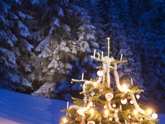 geschmückter Christbaum im Schnee | © Urlaub am Bauernhof / Hans Huber