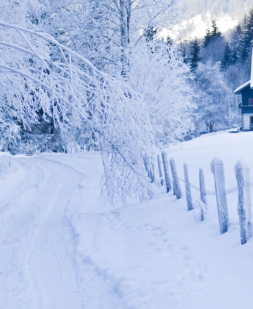 Hof in Winterlandschaft Hüttau | © Urlaub am Bauernhof / Hans Huber