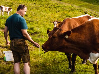 Kühe füttern auf der Alm, Die Schattberger, Salzburger Land | © Die Schattberger