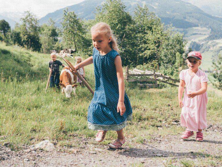 Kinder holen ein Kalb von der Almweide Grußberggut Bad Hofgastein | © Urlaub am Bauernhof im SalzburgerLand / Daniel Gollner