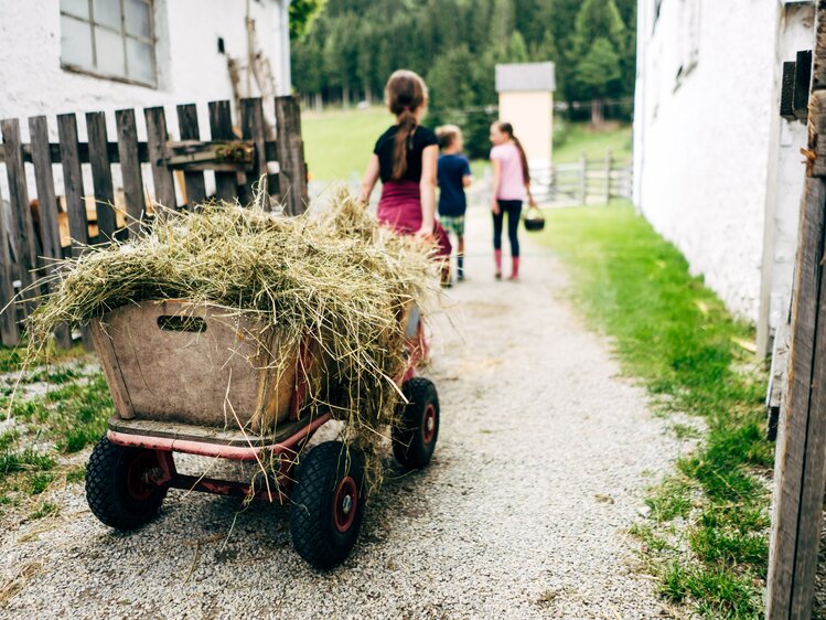 Ein Mädchen zieht einen Heuwagen hinter sich her. | © Urlaub am Bauernhof im SalzburgerLand / Daniel Gollner