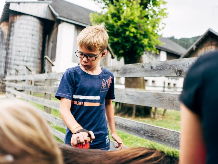 Ein Bub striegelt ein Pony auf Gut Neusess. | © Urlaub am Bauernhof im SalzburgerLand / Daniel Gollner