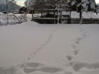 Garten, Spuren im Schnee, Salzburger Land | © Urlaub am Bauernhof Salzburger Land / Johannes Handlechner