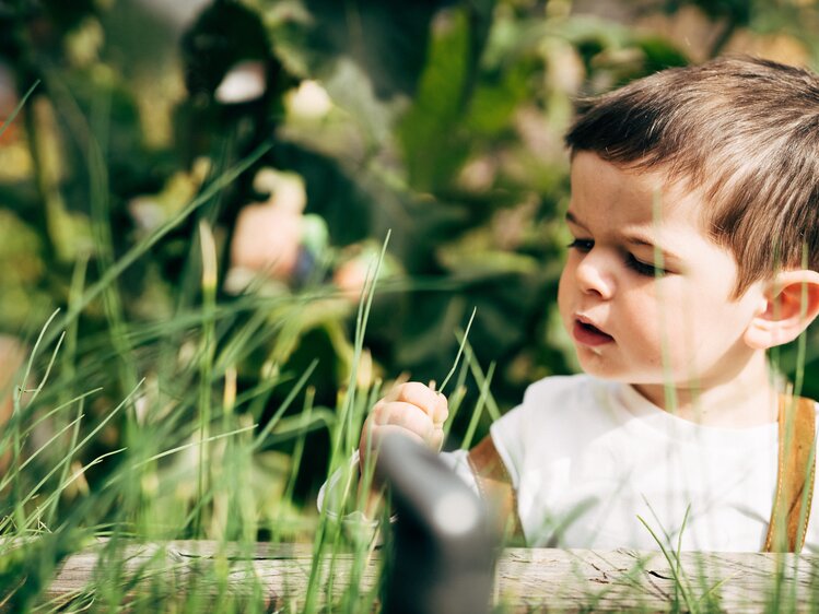 Ein kleiner Bub auf Entdeckungsreise im Garten. | © Urlaub am Bauernhof im SalzburgerLand / Daniel Gollner