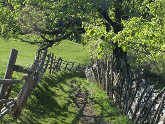 Feldweg mit Holzzaun am Biohof Maurachgut im Gasteinertal | © Biohof Maurachgut / Familie Schuster