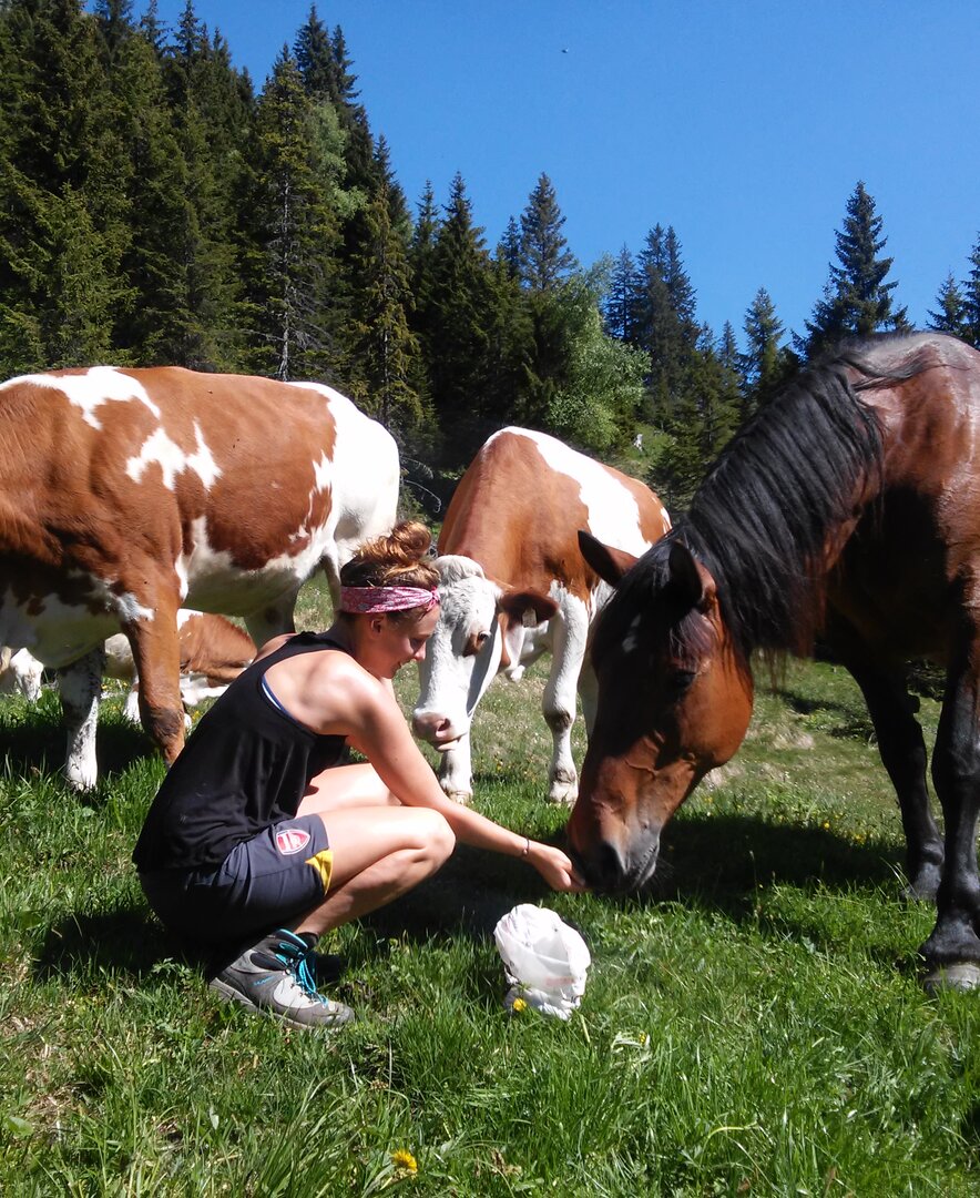 Eine Frau versorgt die Tiere auf der Alm. | © Biohof Maurachgut / Familie Schuster