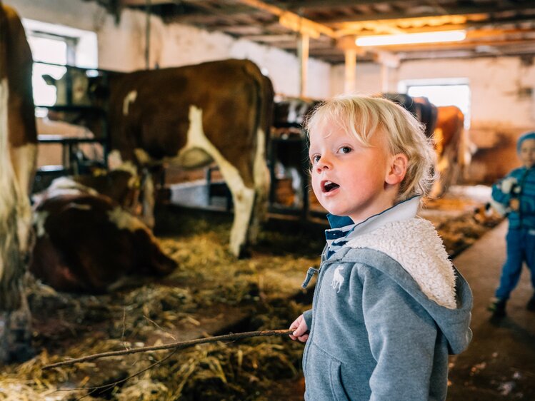 Kinder im Kuhstall in St. Johann im Pongau - Salzburger Land | © Urlaub am Bauernhof Salzburger Land / Daniel Gollner