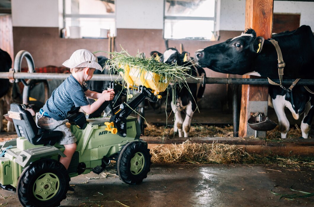 Ein Bub füttert mit dem Trettraktor die Kühe im Stall. | © Urlaub am Bauernhof im SalzburgerLand / Daniel Gollner