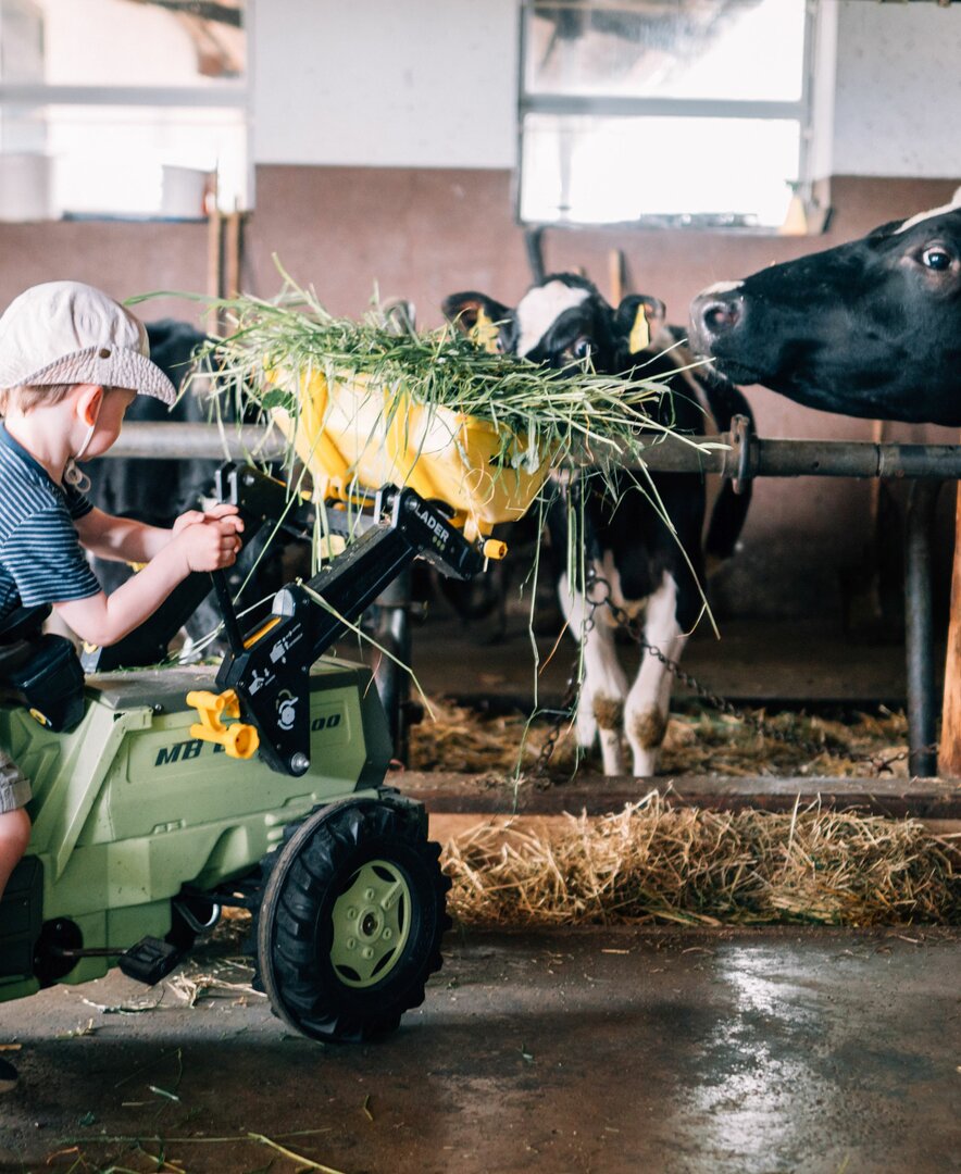 Ein Bub füttert mit dem Trettraktor die Kühe im Stall. | © Urlaub am Bauernhof im SalzburgerLand / Daniel Gollner