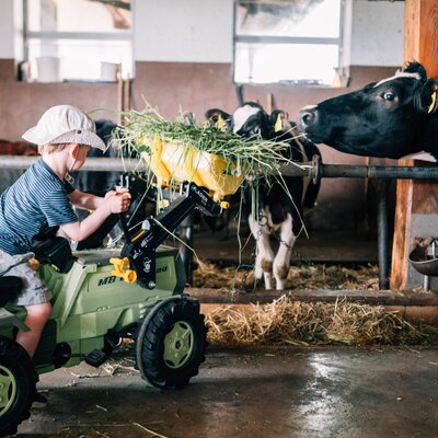 Ein Bub füttert mit dem Trettraktor die Kühe im Stall. | © Urlaub am Bauernhof im SalzburgerLand / Daniel Gollner