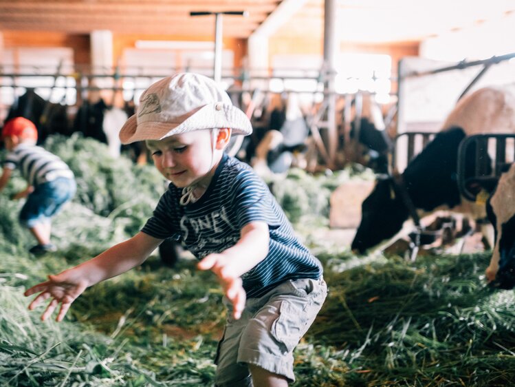 Zwei Kinder füttern die Kühe im Stall mit Gras. | © Urlaub am Bauernhof im SalzburgerLand / Daniel Gollner