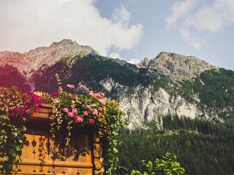 Berge, Balkonblumen, Archehof Öbristhof in Kleinarl, Salzburger Sportwelt | © Urlaub am Bauernhof Salzburger Land / Matthias Gruber