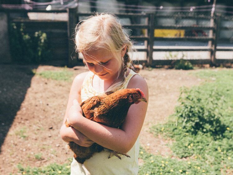 Mädchen mit Huhn, St. Johann, Salzburger Land | © Urlaub am Bauernhof Salzburger Land / Daniel Gollner