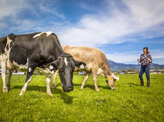 Stefanie Rehrl mit ihren Kühen | © Urlaub am Bauernhof im SalzburgerLand / Bernd Suppan