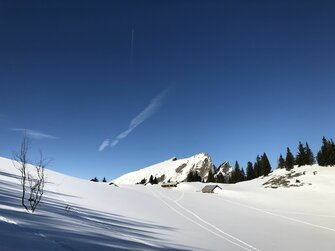 Blick von der Vormaueralm auf den Schafberg im Winter | © Margret Appesbacher