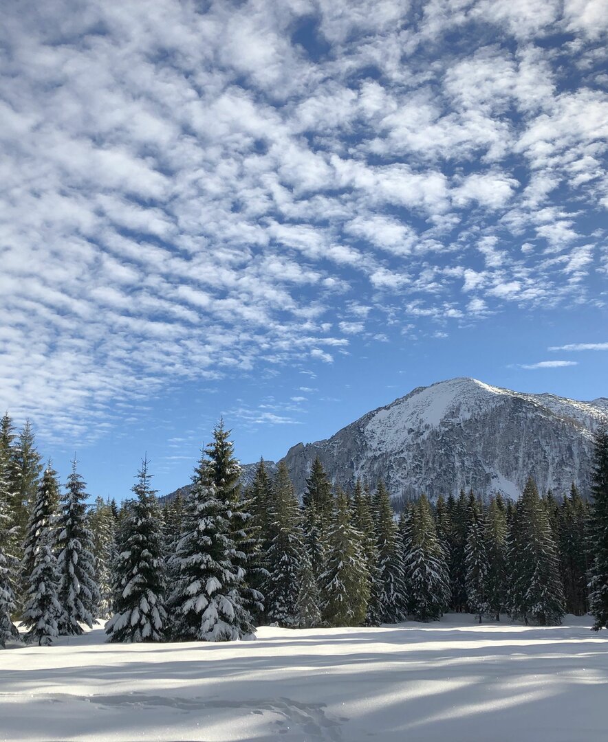 Winterlandschaft auf der Postalm | © Margret Appesbacher