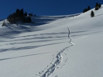 Schneeschuhspuren auf der Illingeralm | © Margret Appesbacher