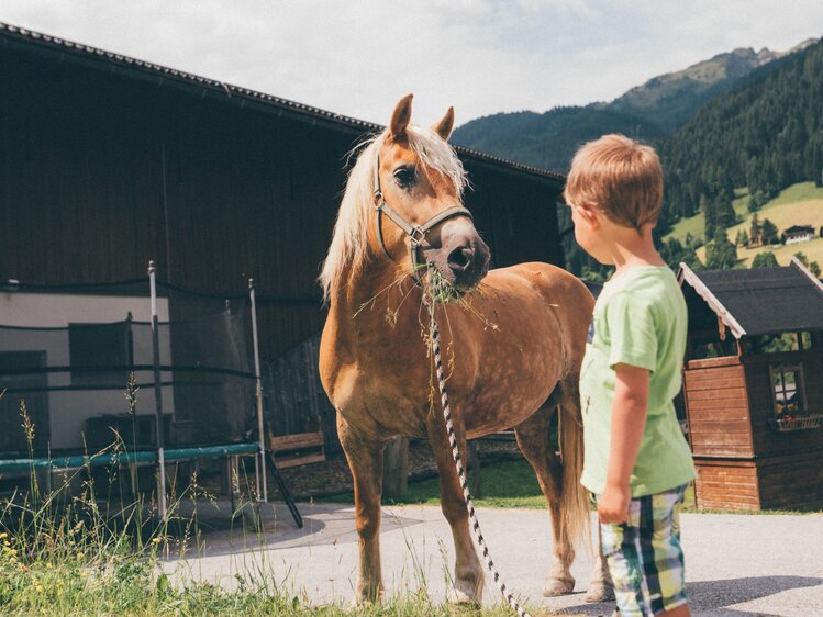 Bub mit Pferd, Schwabhof in Kleinarl, Salzburger Land | © Urlaub am Bauernhof Salzburger Land / Daniel Gollner