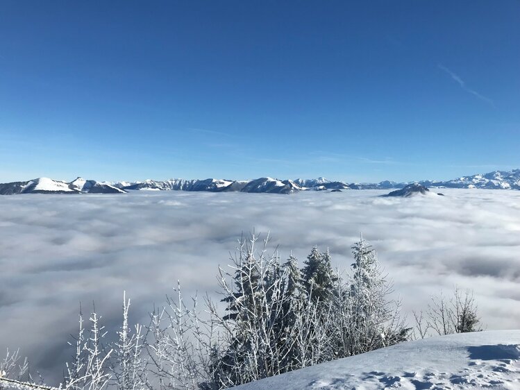 Berge in Nebellandschaft, oben Sonne, Winter, Salzburger Land | © Urlaub am Bauernhof Salzburger Land / Christina Eßl