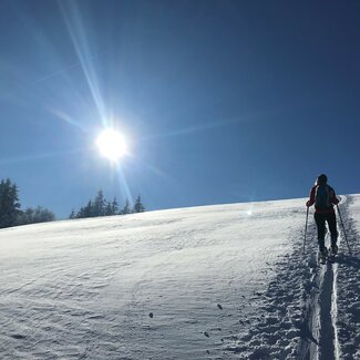 Skitourengeherin, Sonne im Hintergrund, WInterlandschaft, Salzburger Land | © Urlaub am Bauernhof Salzburger Land / Christina Eßl