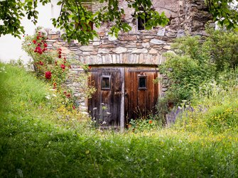 Die Ruine am Suppangut lässt Geschichte spürbar werden. | © Urlaub am Bauernhof im SalzburgerLand / Matthias Gruber