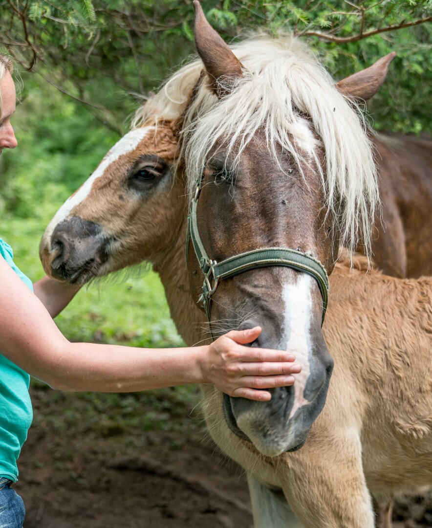 Bäuerin Lisi Lottermoser streichelt ihre Pferde. | © Urlaub am Bauernhof im SalzburgerLand / Matthias Gruber