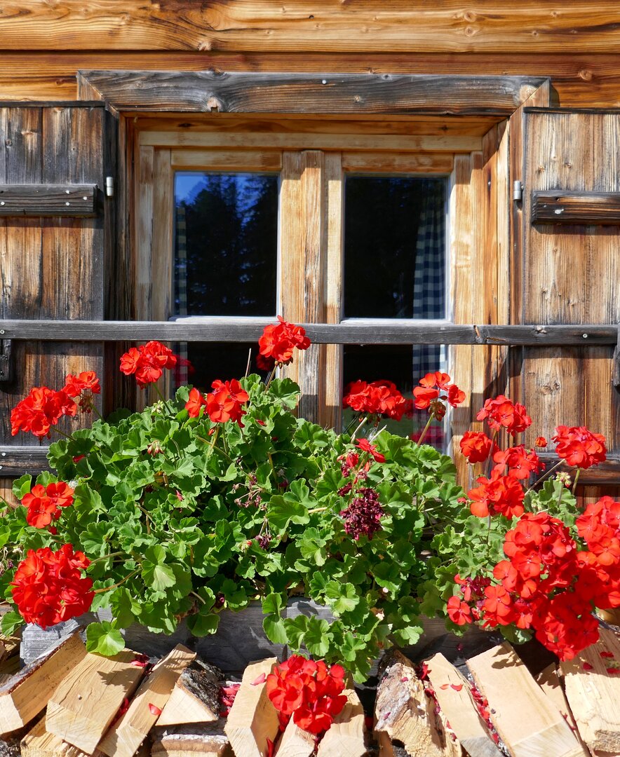 Blumengeschmücktes Fenster auf der Wallmanhütte in Krispl im SalzburgerLand | © www.reisebloggerin.at / Gudrun Krinzinger