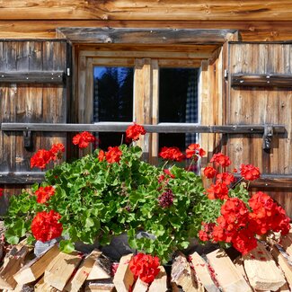 Blumengeschmücktes Fenster auf der Wallmanhütte in Krispl im SalzburgerLand | © www.reisebloggerin.at / Gudrun Krinzinger