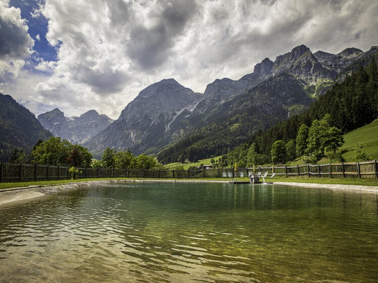 Schwimmteich am Berghof-Pension Wildau  | © Urlaub am Bauernhof im SalzburgerLand / Bernd Suppan