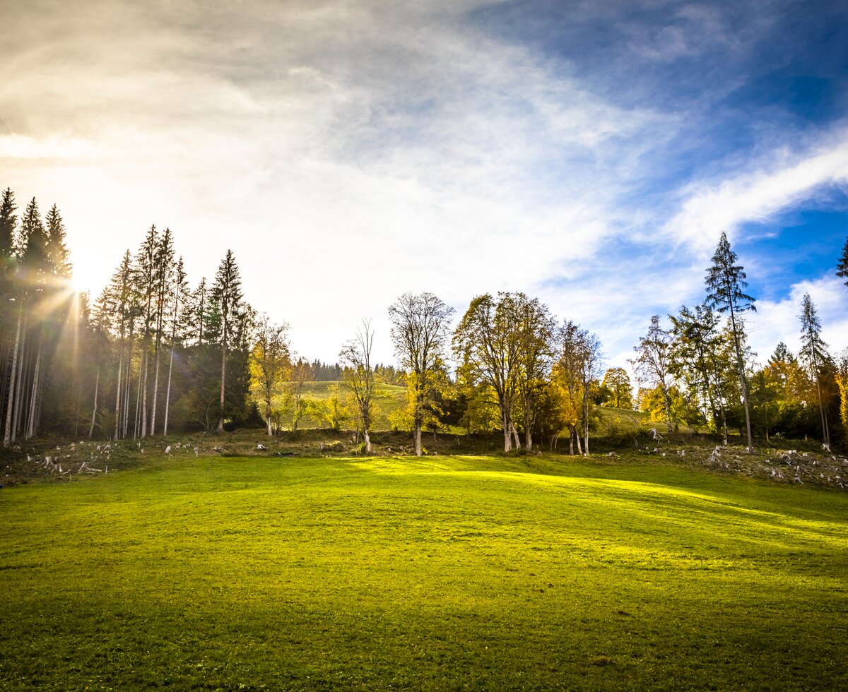 Sonnenstrahlen, Eisenhut in Hüttau, Salzburger Land | © Urlaub am Bauernhof Salzburger Land / Bernd Suppan